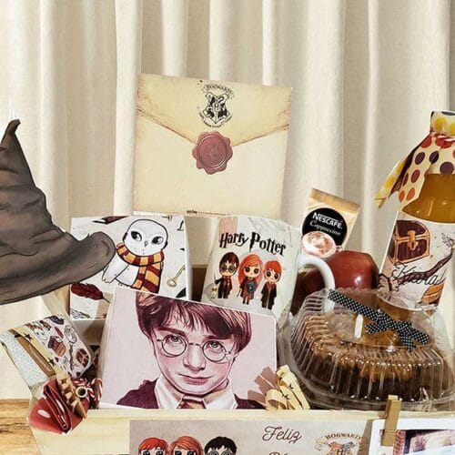 Box Temático Harry Potter