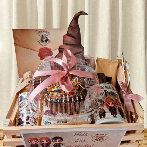 Box Temático Harry Potter